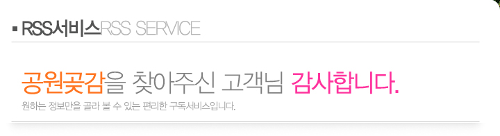 타이틀이미지
